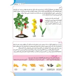 كتاب كار مغز خلاق - می‌بینم، یاد می‌گیرم ۴ - مفاهیم (علوم)