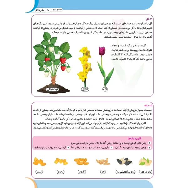 كتاب كار مغز خلاق - می‌بینم، یاد می‌گیرم ۴ - مفاهیم (علوم)